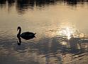 2014-03-02,_Pillnitz (14)